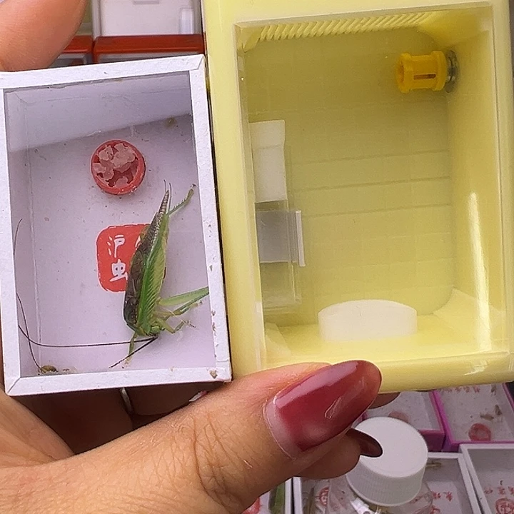 张***三哈哈哈哈哈哈哈哈哈哈哈哈哈