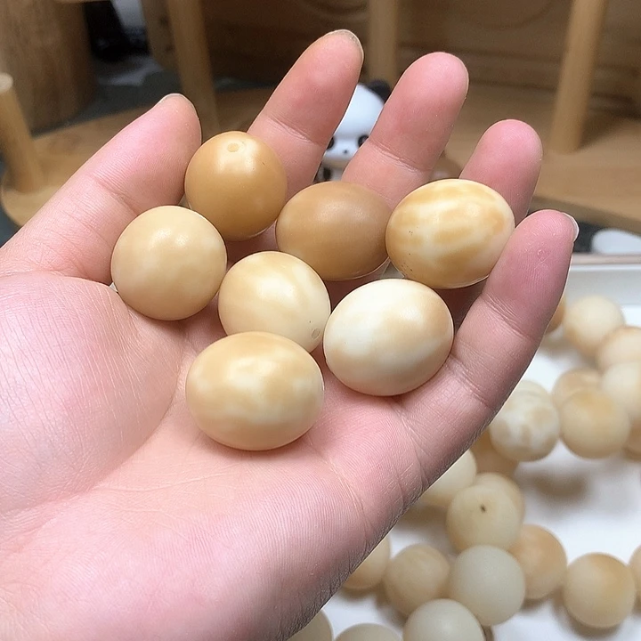 菩提根/象牙果吊坠至****处