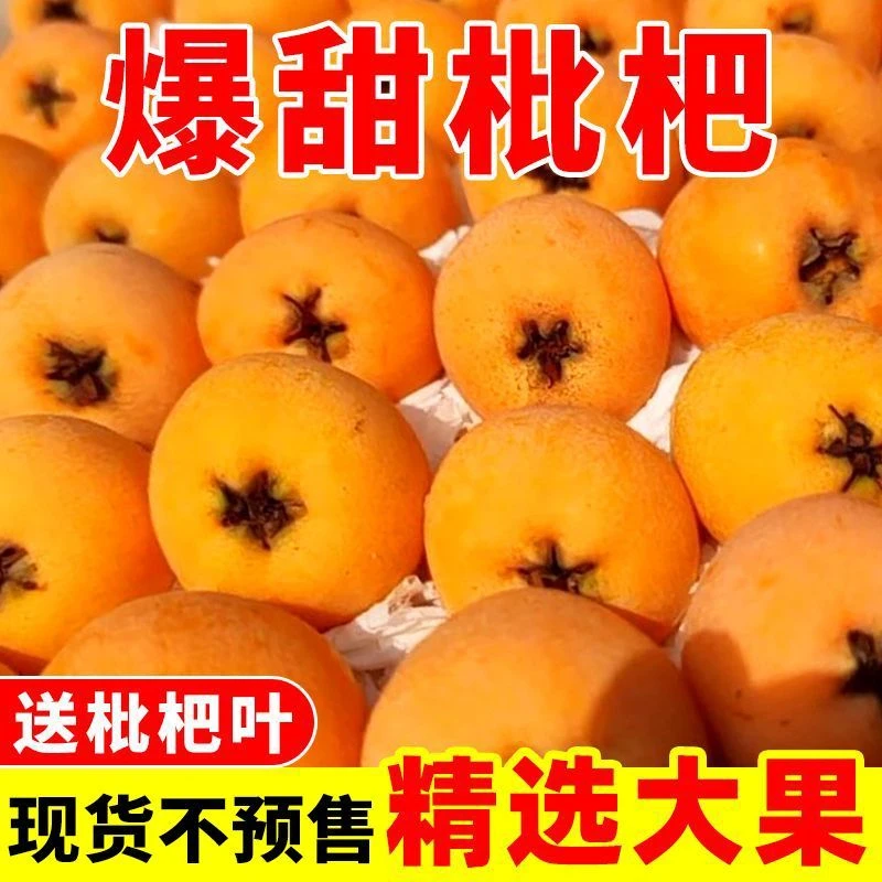 【顺丰】四川农家高山枇杷正宗当季水果大五星新鲜高山爆甜多汁