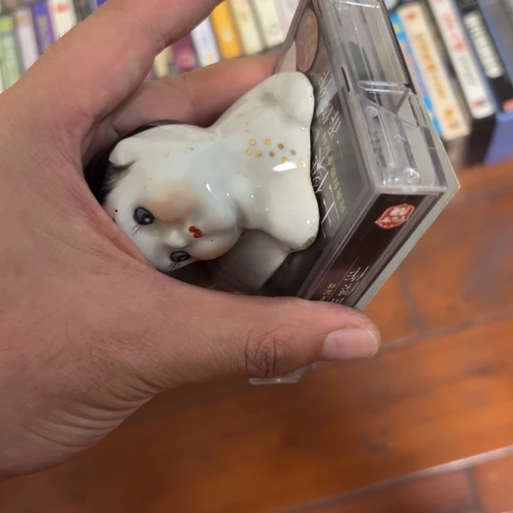 静***能大哥专拍链接…………