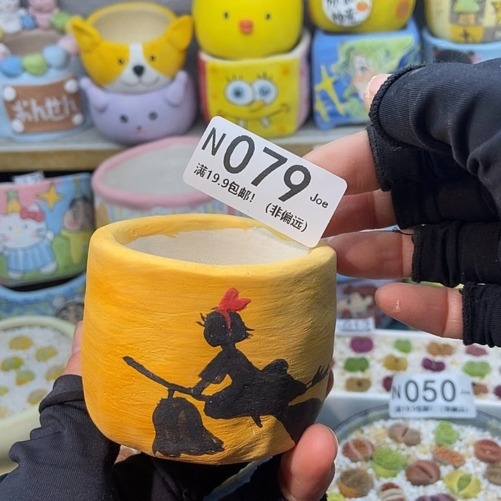 大舅生石花肉锥多肉079