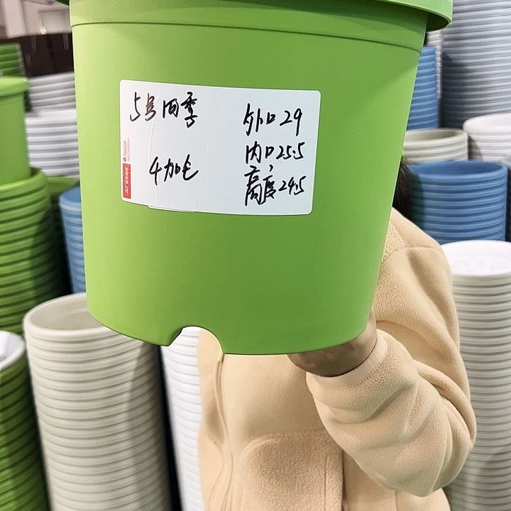 特价5号四季口29高24白色无托5只