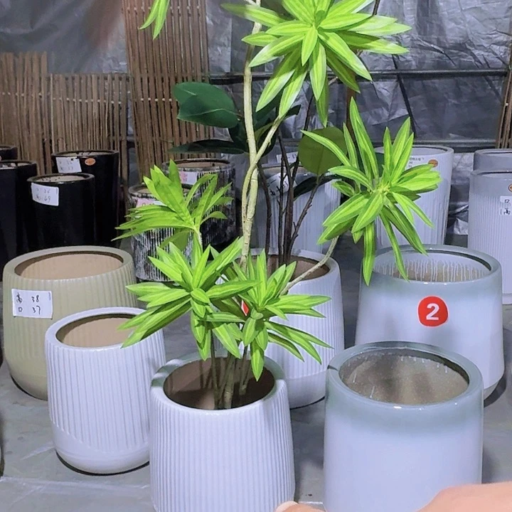 红陶陶瓷制品生产厂家