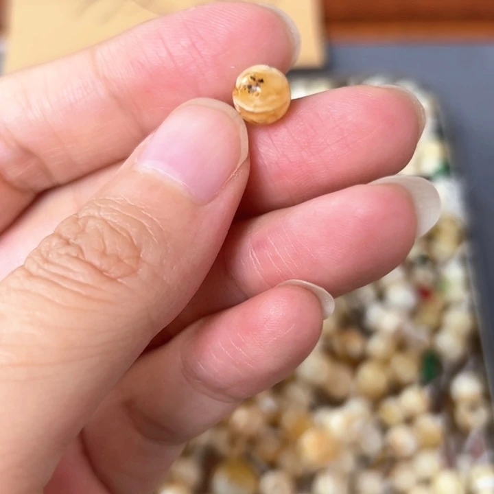 裸石蜜蜡未镶嵌7.4mm一个