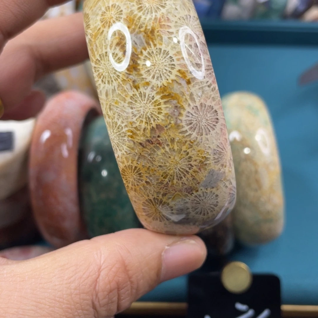 未镶嵌手镯硅化玉