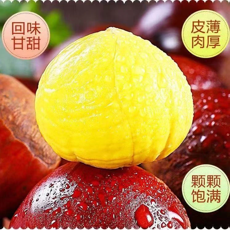 【买3斤送2斤】新鲜现摘高山板栗甘甜清脆生栗子大板栗5斤装