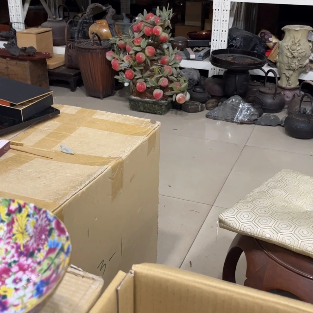 小***猪茶茶茶茶茶茶茶茶