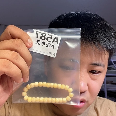 【闪购商品】香榧木587