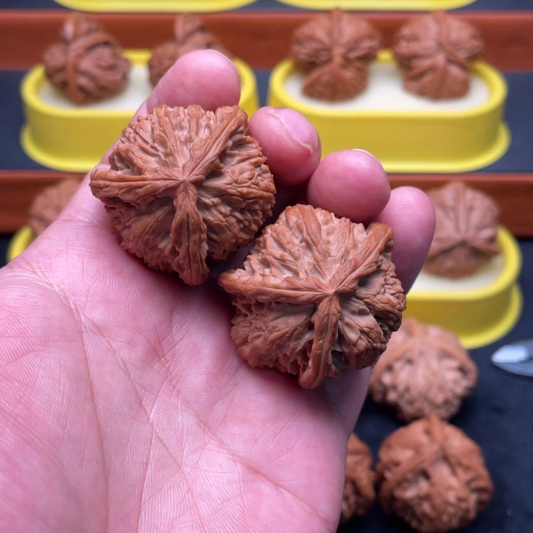 手串/手链核桃白狮子三棱42