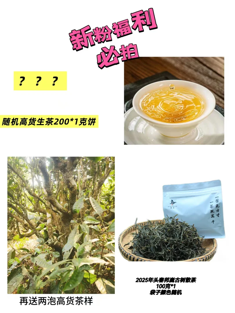【新粉礼包】邦崴普洱茶大礼包/普洱生茶霸气回甘猛烈/蜜香高级茶叶