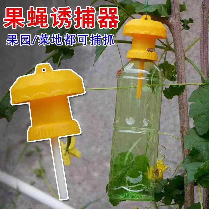 简易果蝇诱捕器盖头果园瓜地桔小实蝇针锋瓜蝇诱引捕捉诱剂果蝇药