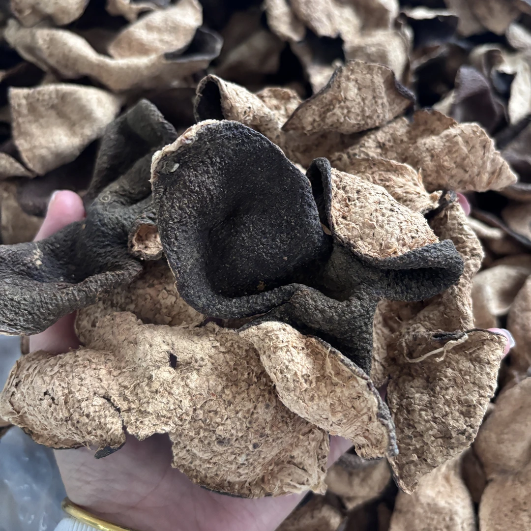 【樟香带甜】2011年西甲原枝大红皮50g