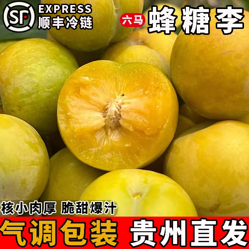 【气调锁鲜包装】顺丰冷链贵州镇宁六马蜂糖李子新鲜当季孕妇水果