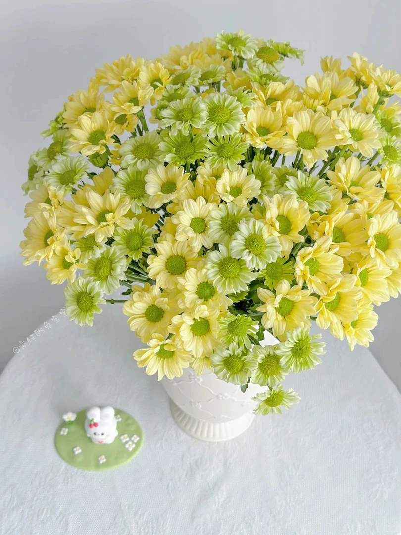 【小菊】小花精选鲜花