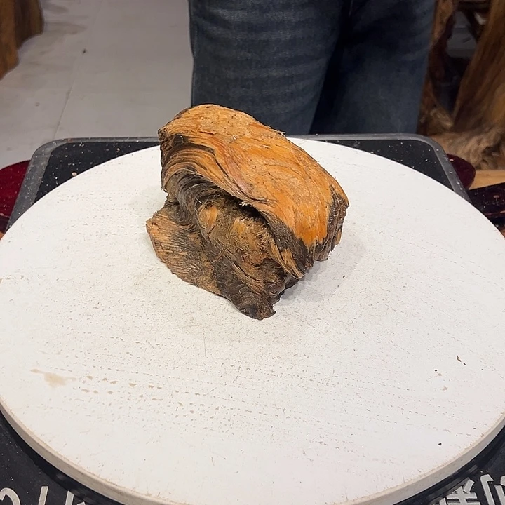 松木（琥珀木）龙*