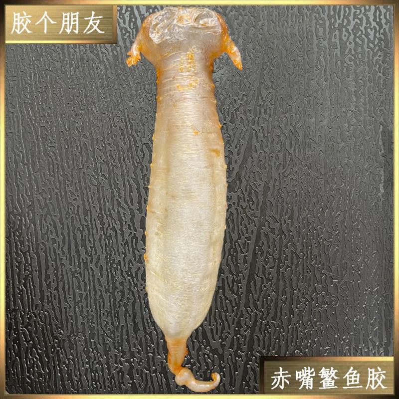 【年货节】严选鱼胶1-500g 直播间鱼胶链接