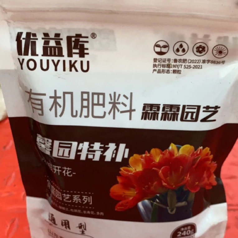 君子兰开花上剑有机（小雪专属）