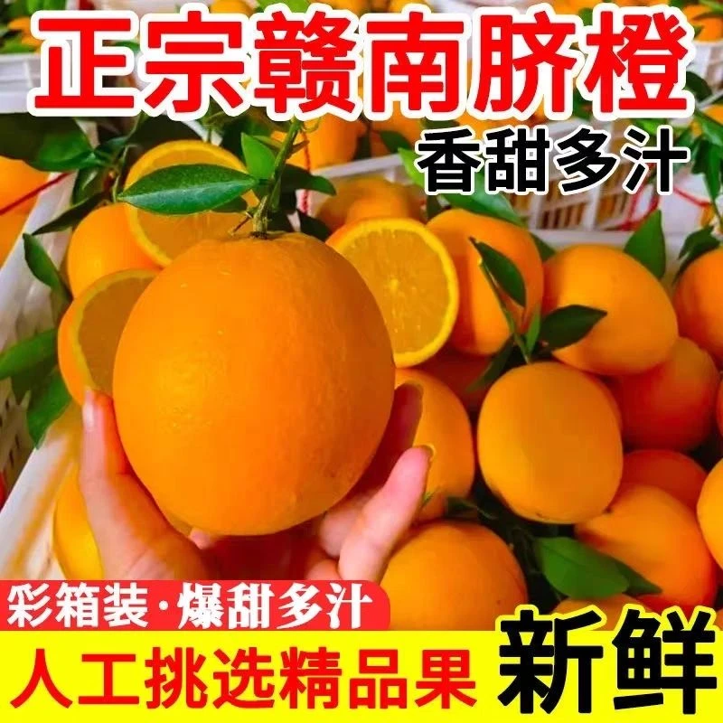 新鲜无籽赣南脐橙
