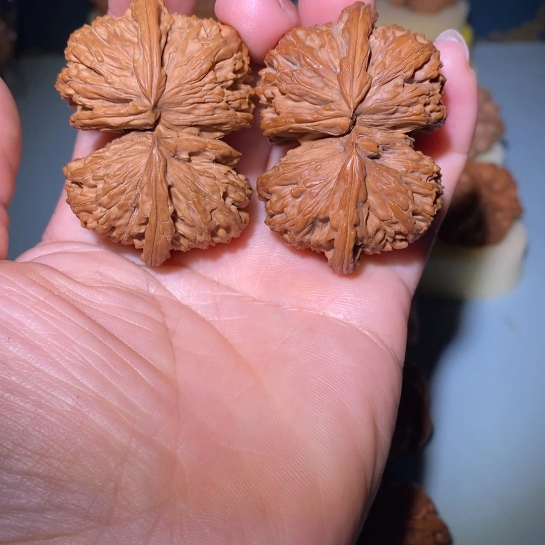 把件文玩核桃6*52白狮子连体