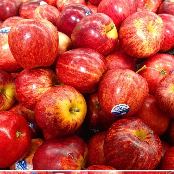 红佳丽进口苹果