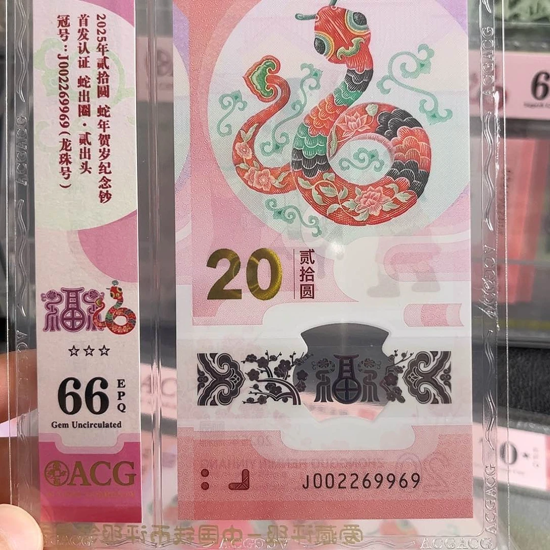 002269969单张龙珠号塑料蛇钞