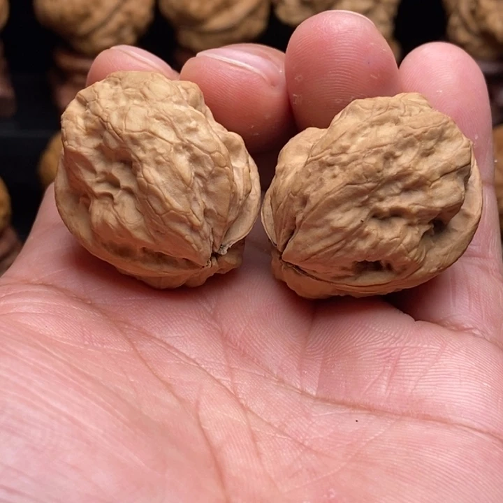 文玩核桃把件7蛤蟆化石