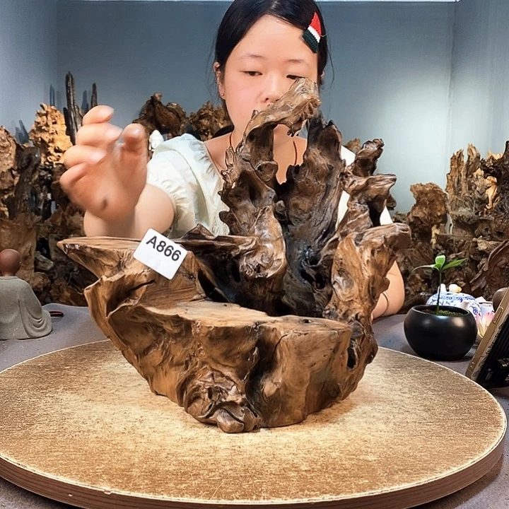 茶盏沐****者866株木随行的小根艺