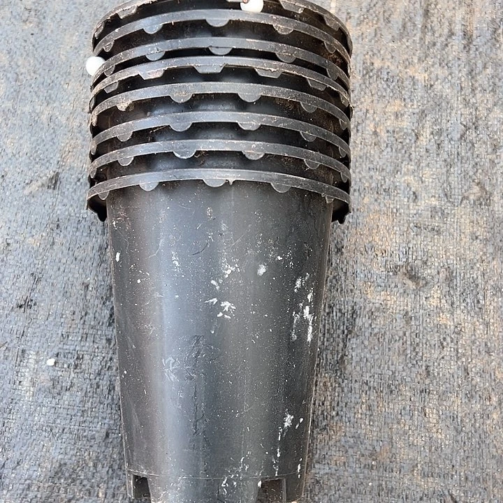 塑料口径14.5高度16黑花边一组10个