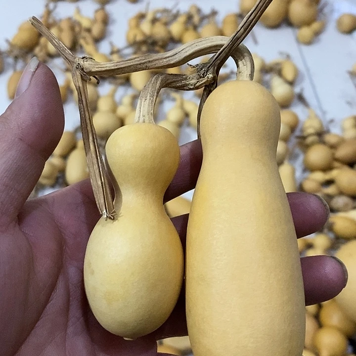 葫芦手把件小瓶子葫芦