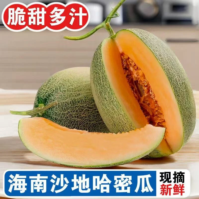 正宗海南哈密瓜西州蜜瓜脆甜多汁现摘现发皮薄肉厚甜瓜