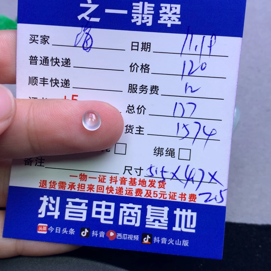 颈饰未镶嵌翡翠海****寓