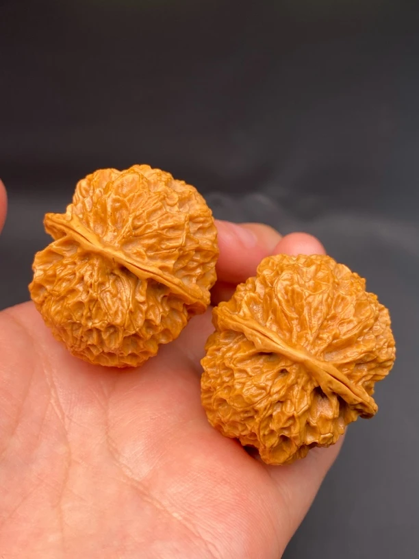 云南铁核桃 39-40尺 珊瑚绣球 发货图片同款精品一对