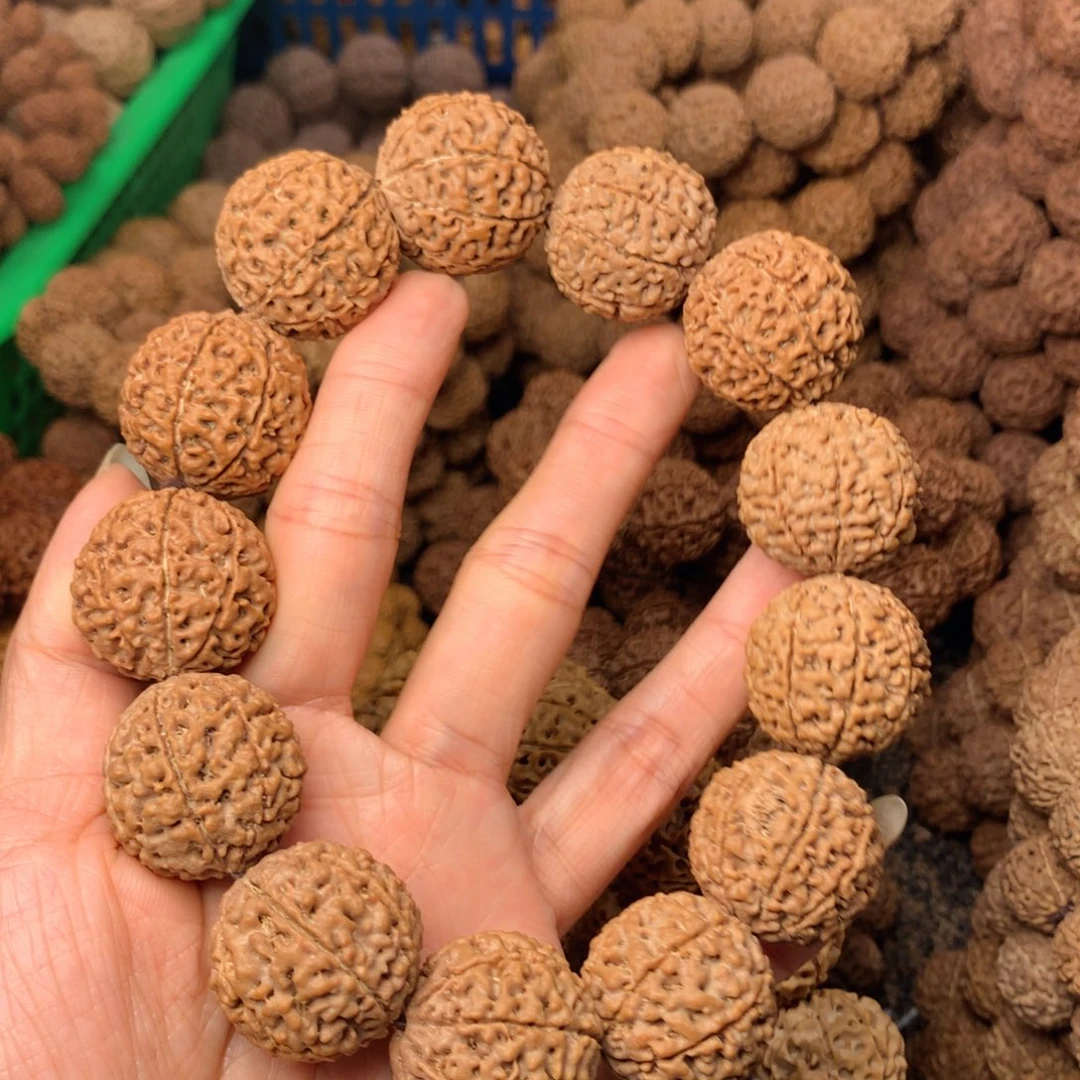 木8瓣爆肉卡25尺寸，50号