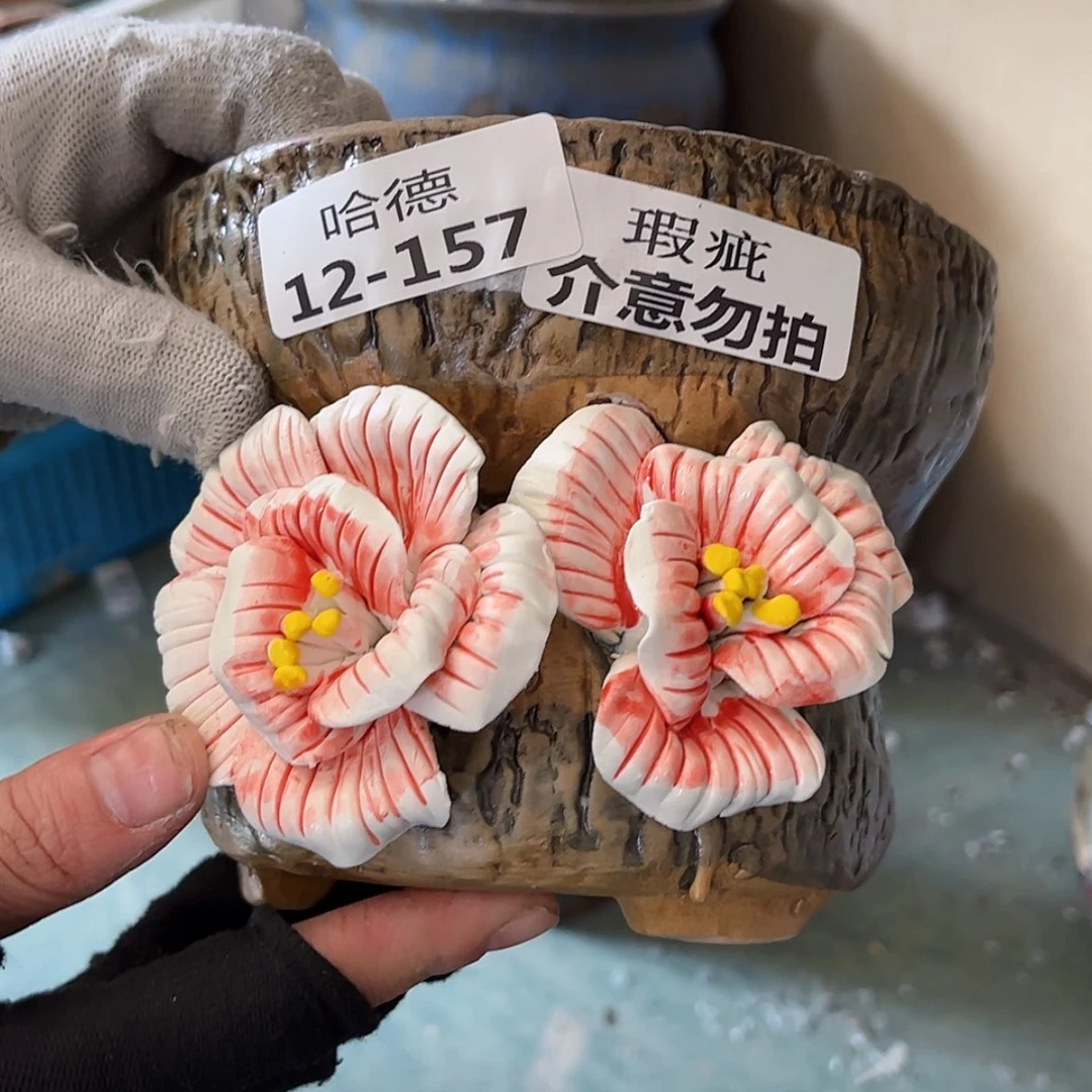 【闪购商品】红陶瑕疵121570