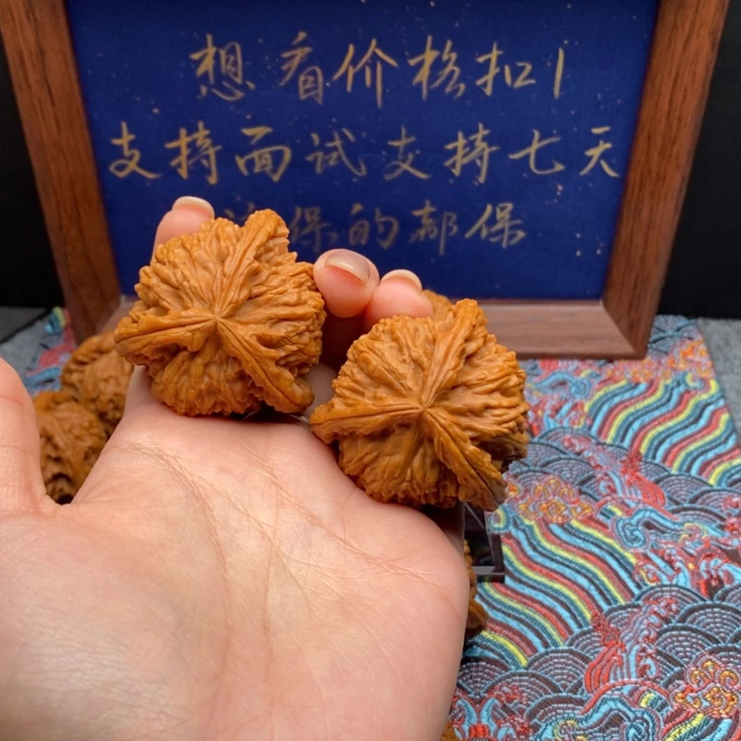 【闪购商品】沐*白狮