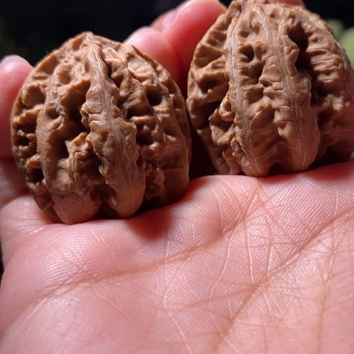 文玩核桃把件东北楸子小路 160