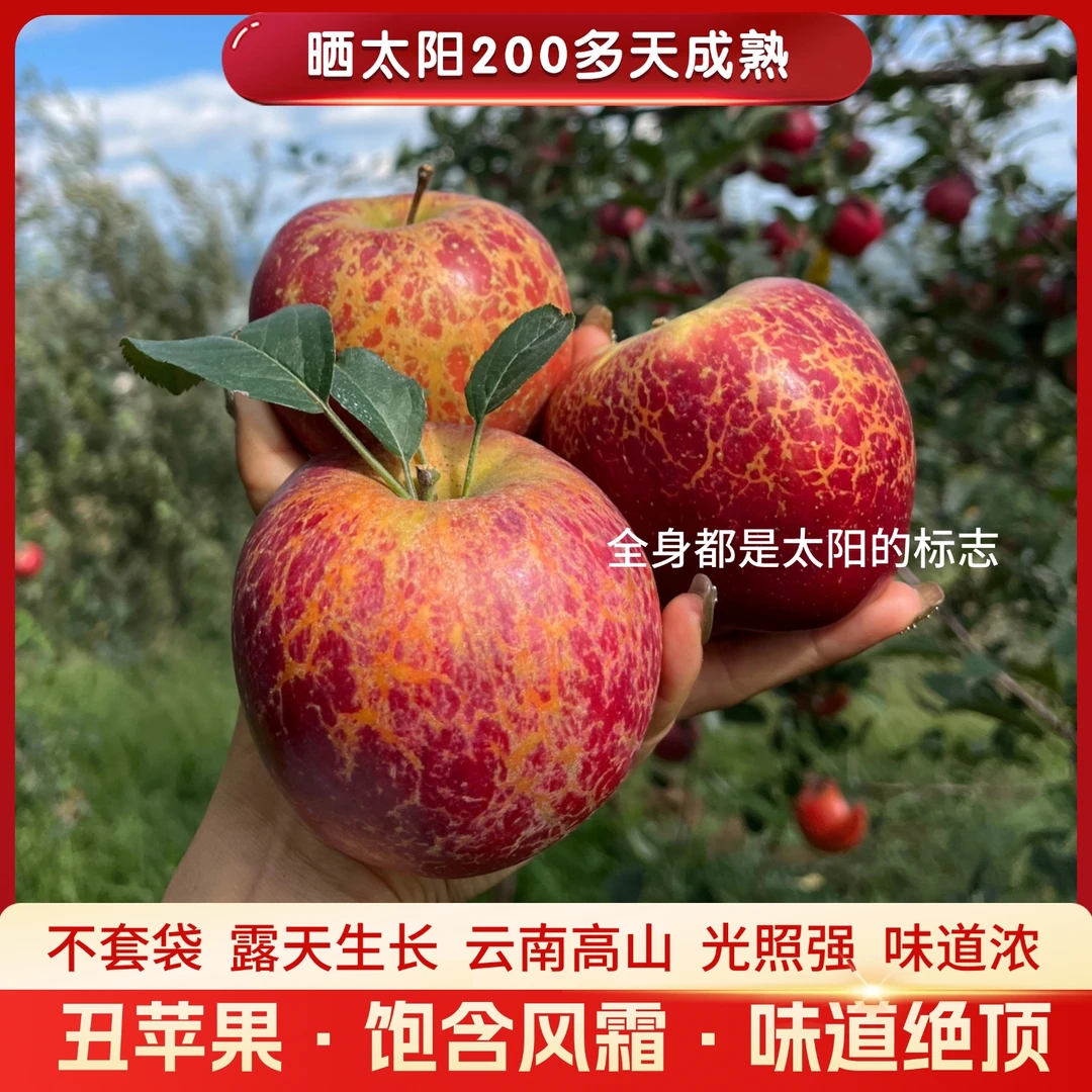 云南昭通冰糖心丑苹果脆甜多汁产地直发新鲜水果整箱5斤包邮