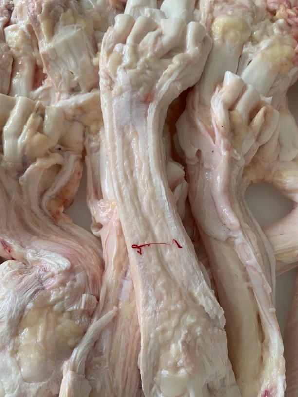 每日鲜出清真牛蹄筋牛筋带主筋去皮可炖可卤可烧烤新鲜生鲜牛肉筋