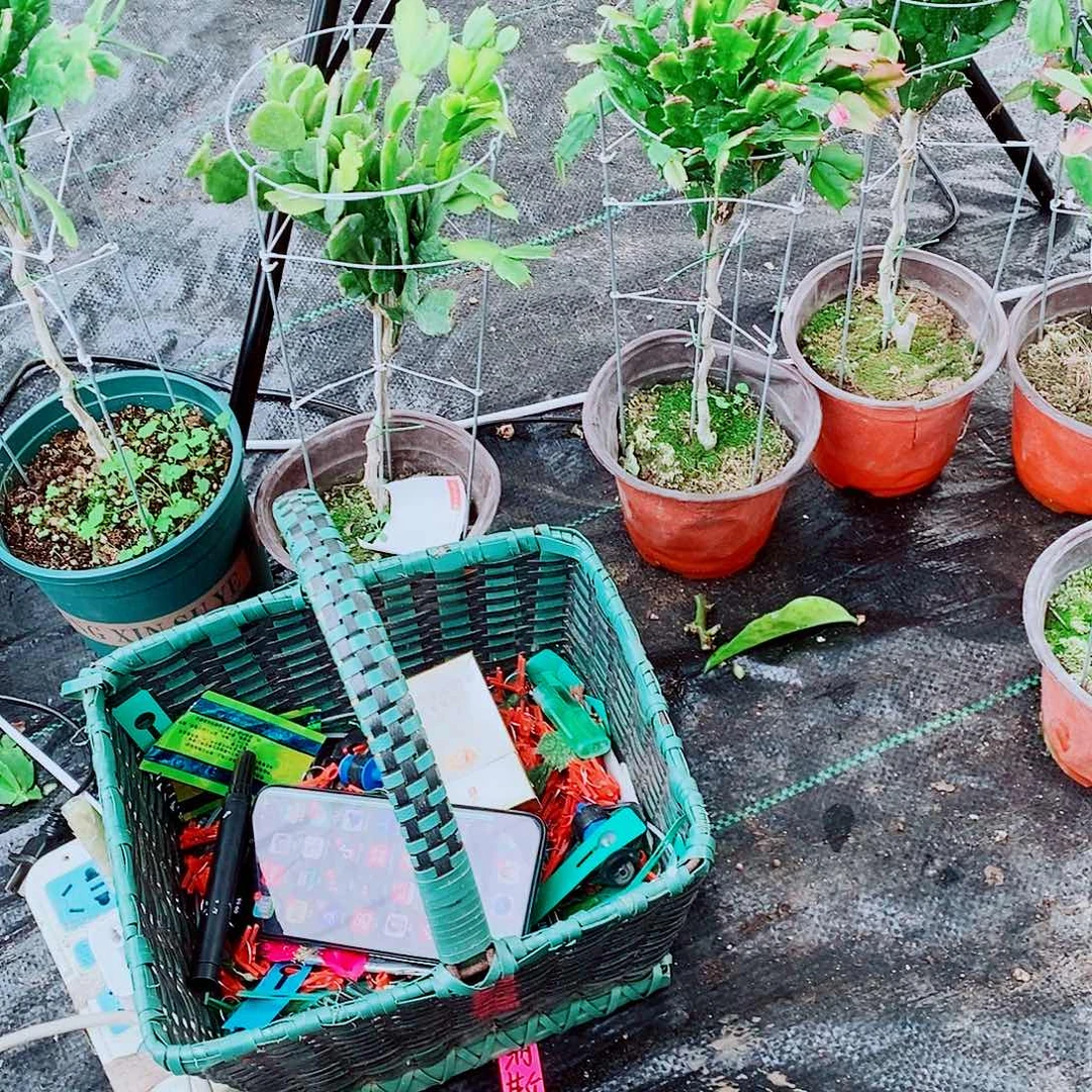 无花朵姐姐咯摸摸摸摸哦