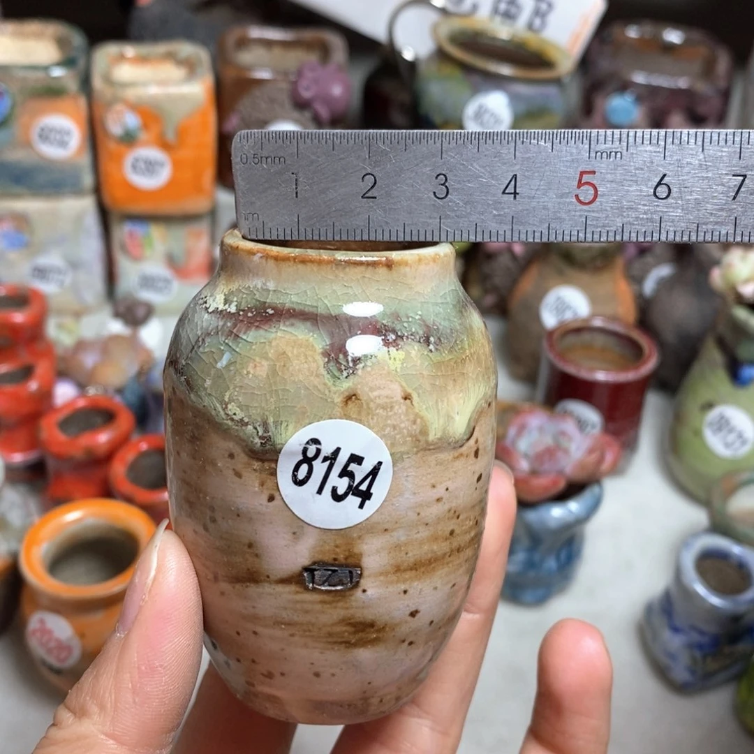 花盆拍5送一个小礼物