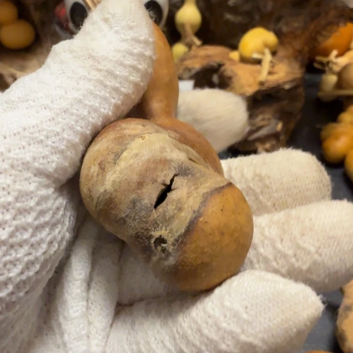 刘***）7666777777788898999