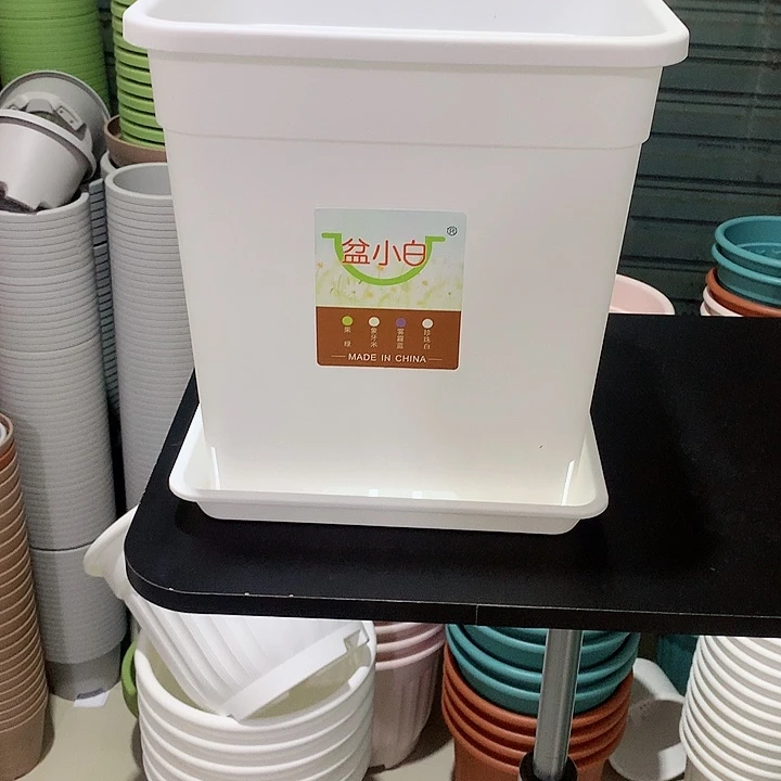 方口28高30白2个带托