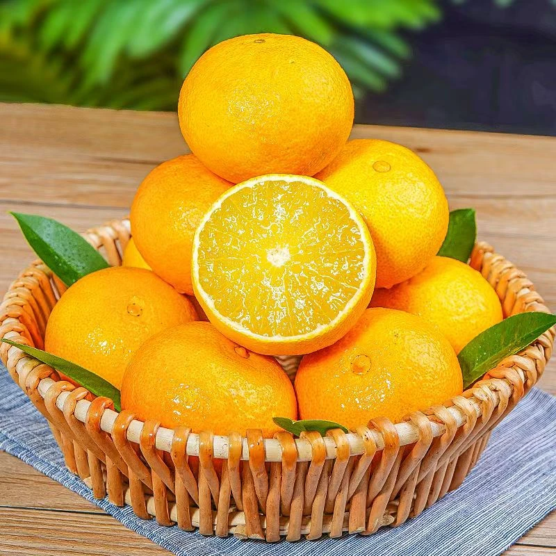 四川爱媛38号果冻橙品质优选果当季新鲜水果皮薄多汁香甜爆汁