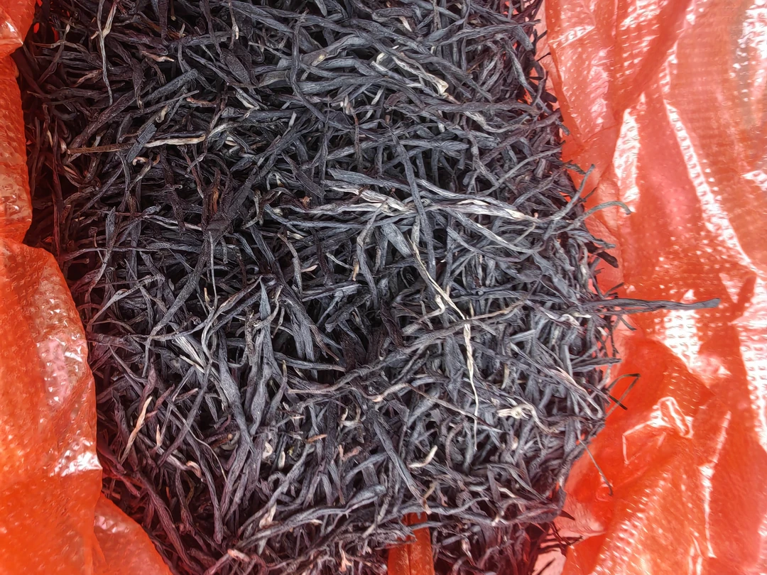 云南深山千年古树老妖紫妃红茶