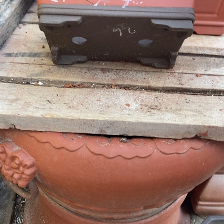 紫砂花盆自动挡住