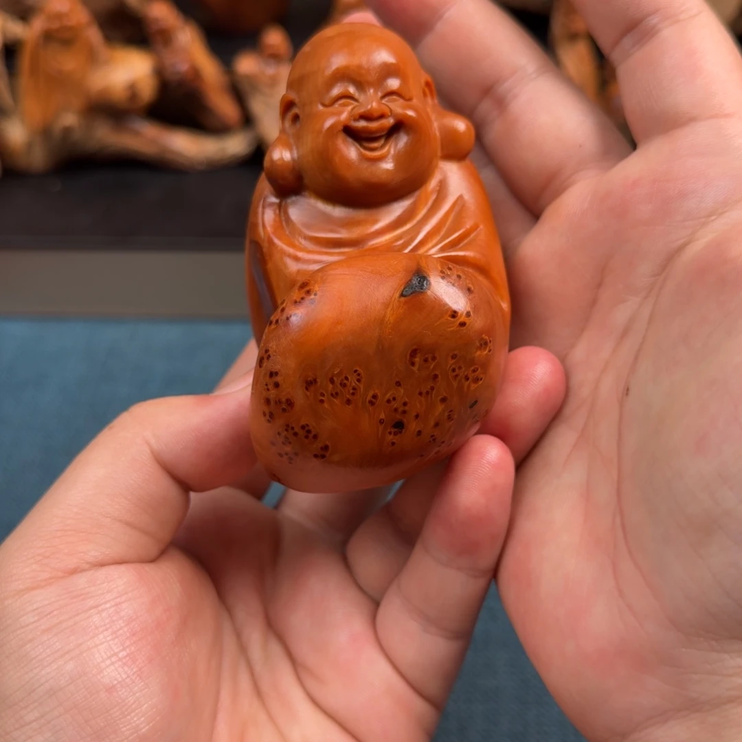 柏木（崖柏）太行崖柏