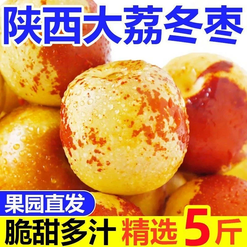 【5斤】陕西大荔冰糖冬枣当季新鲜脆甜水果大枣好吃现摘现发批发
