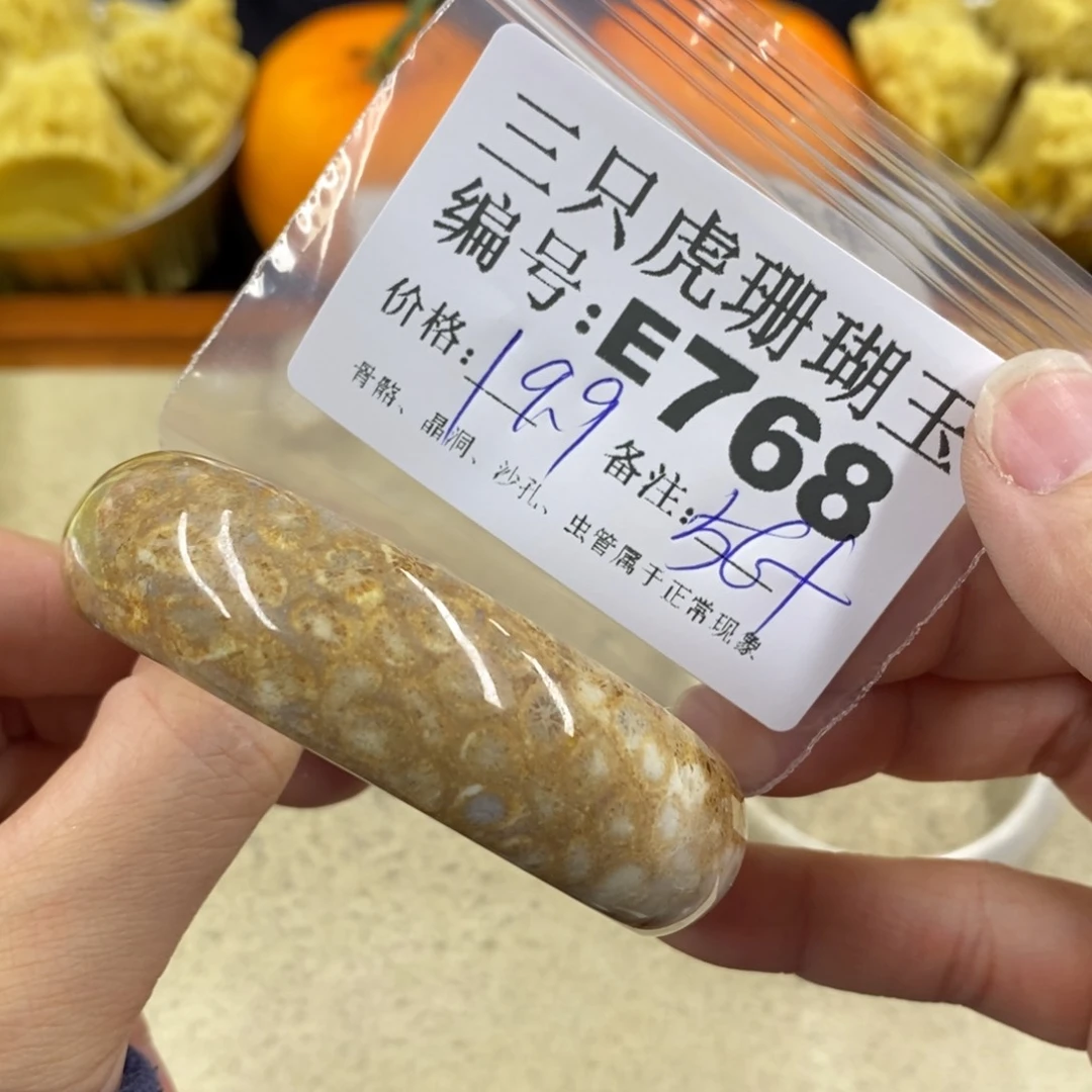 硅化珊瑚（珊瑚玉）1未镶嵌莹*