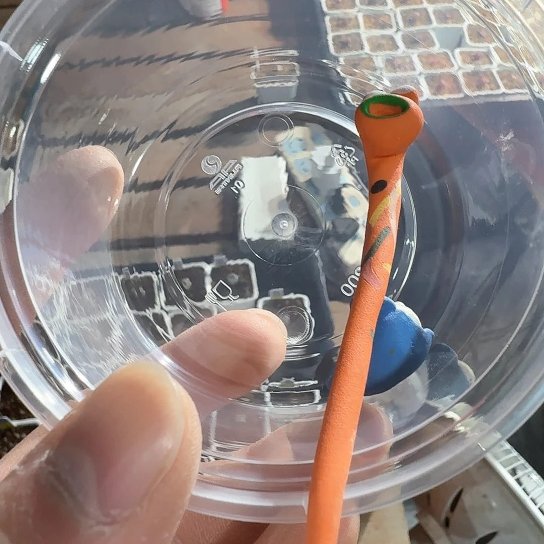 乐*可dy6 可可 韩国摆