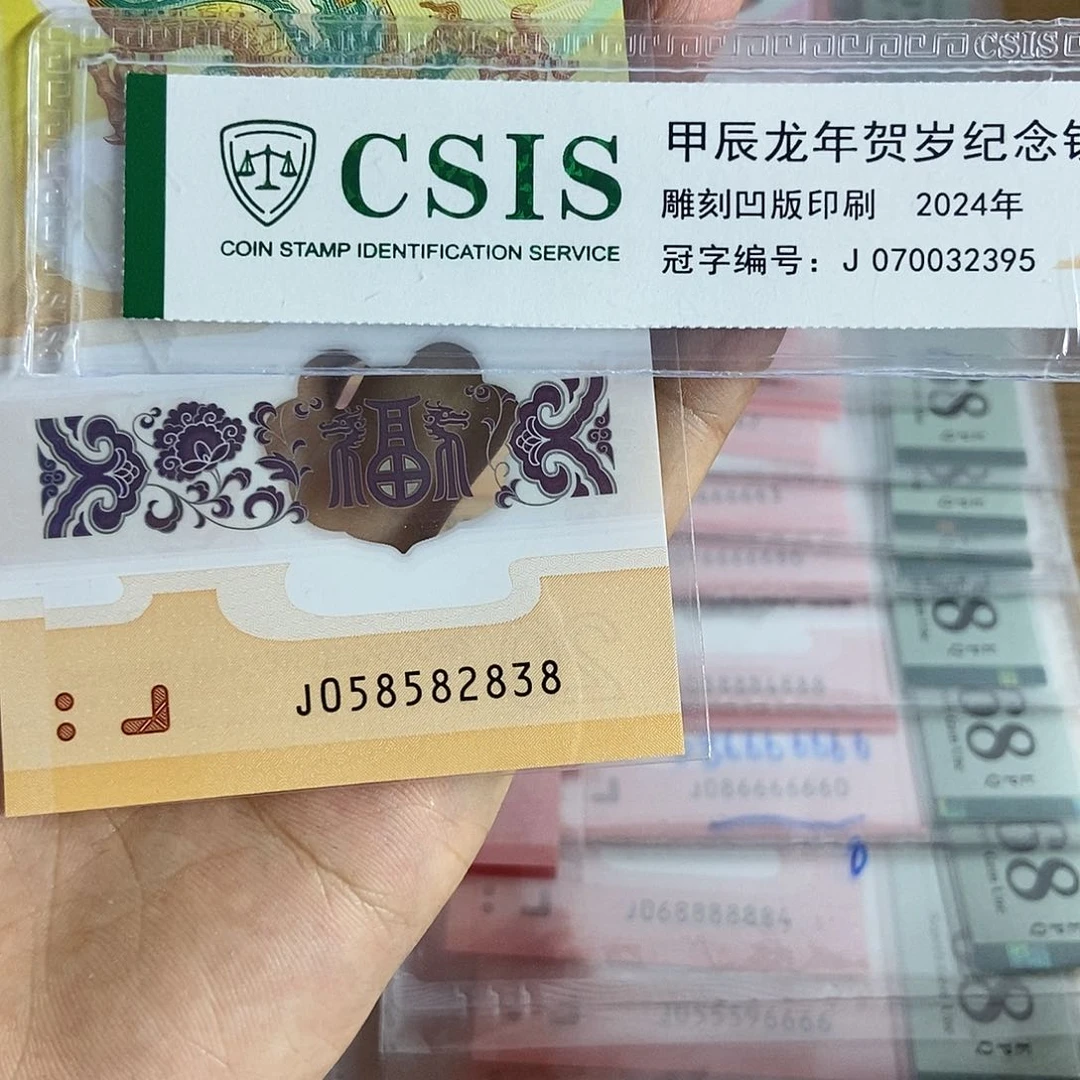 塑料龙2838 ……………………….